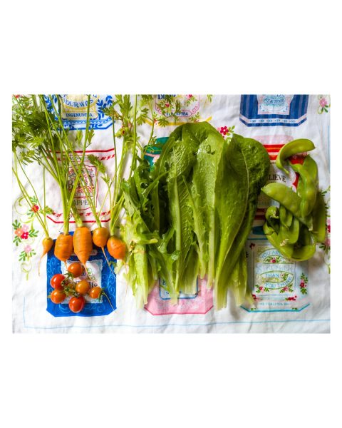 Veg grown in the garden - it's the perfect time to plant now, Local gardens